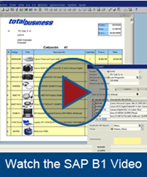 SAP Business One Video